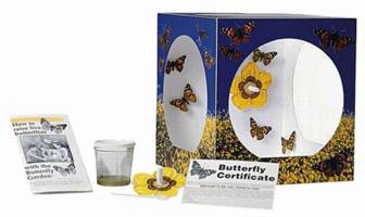 Butterfly Garden